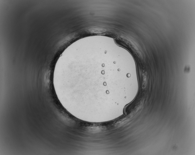 X0000102350404200808291206