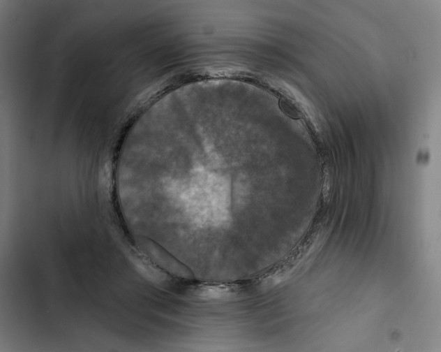 X0000102350405200808291206