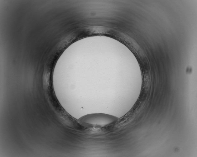 X0000102350406200808291206