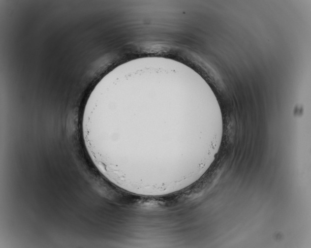 X0000102350407200808291206