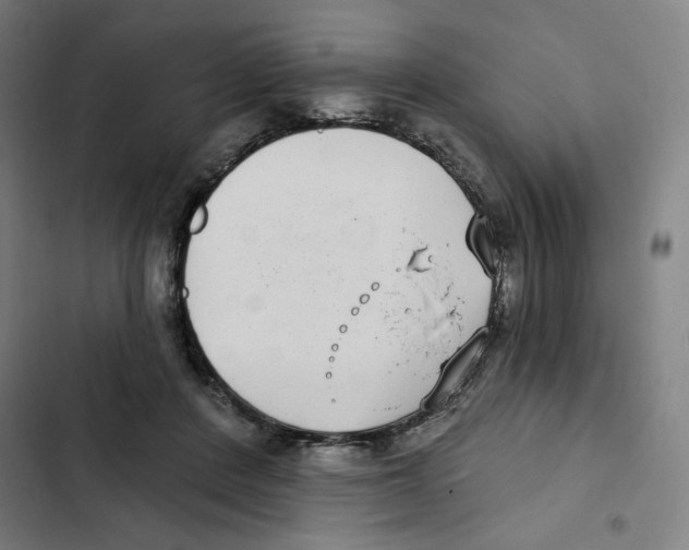 X0000102350408200808291206