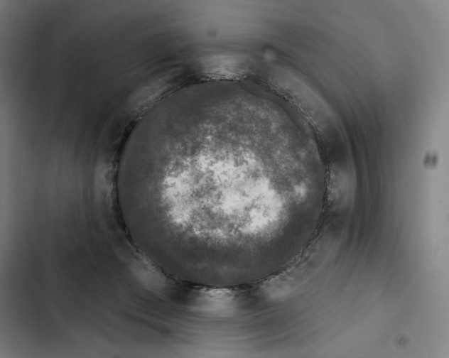 X0000102350409200808291206