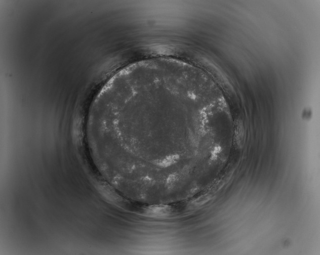 X0000102350410200808291206