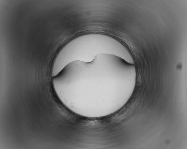 X0000102350411200808291206