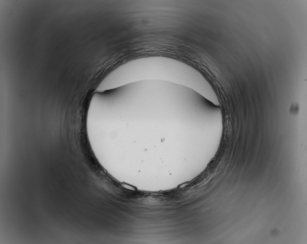 X0000102350412200808291206
