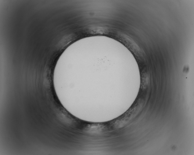 X0000102350414200808291206