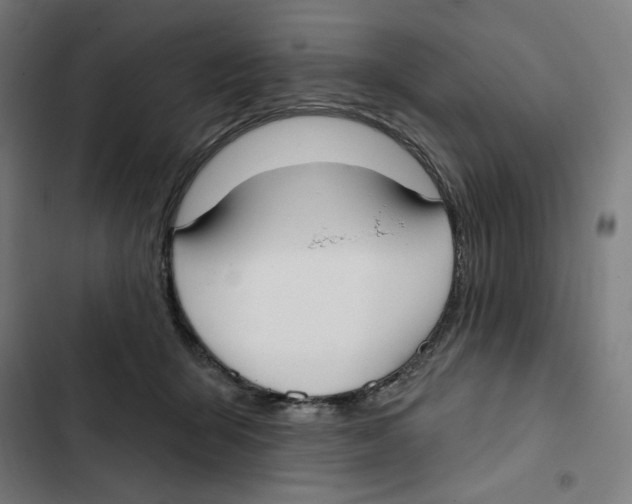 X0000102350415200808291206