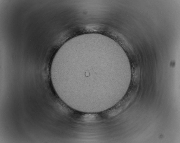 X0000102350418200808291206