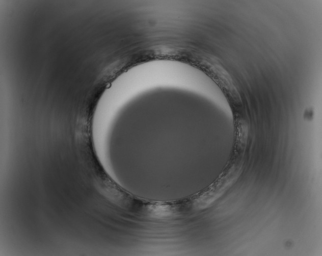 X0000102350419200808291206