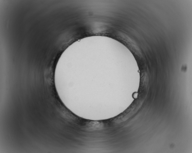 X0000102350421200808291206