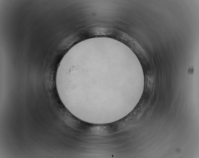 X0000102350422200808291206
