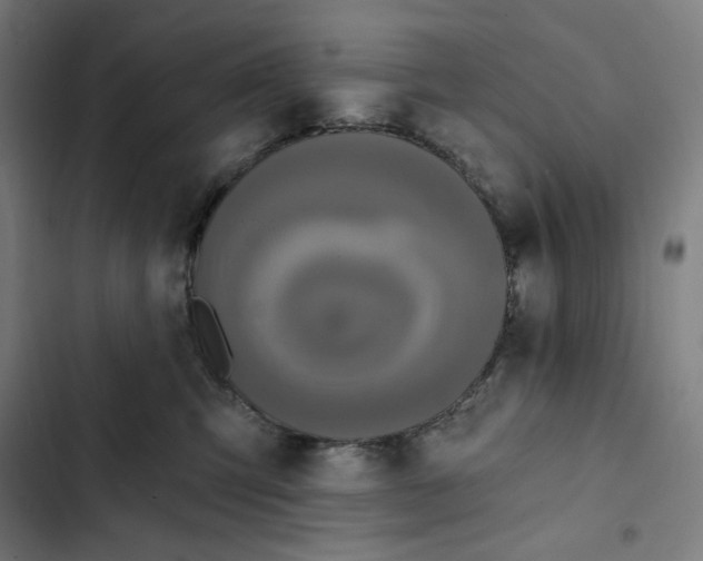 X0000102350423200808291206