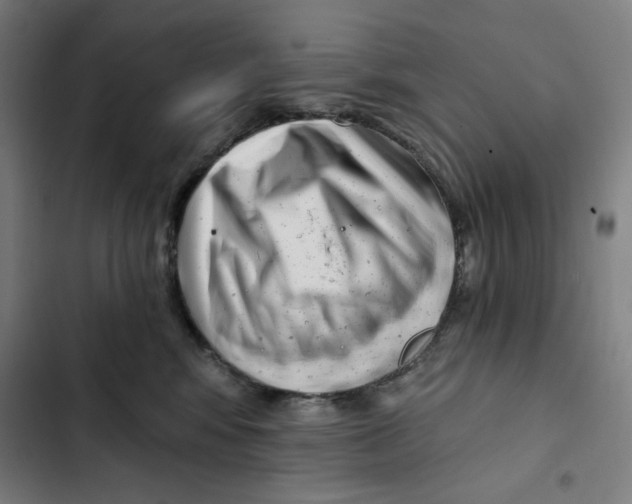 X0000102350424200808291206