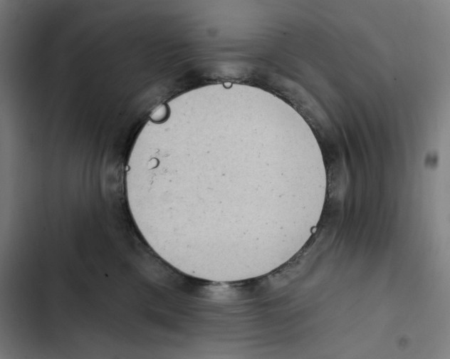 X0000102350425200808291206