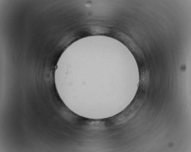 X0000102350426200808291206