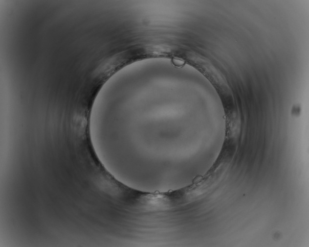 X0000102350427200808291206