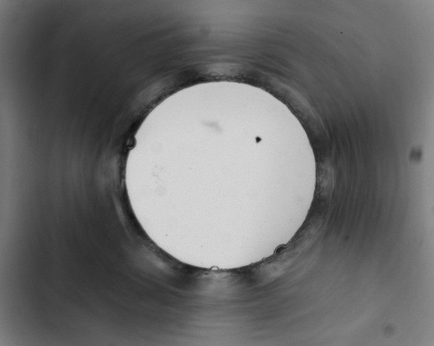 X0000102350428200808291206