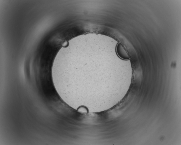 X0000102350429200808291206