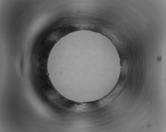X0000102350430200808291206