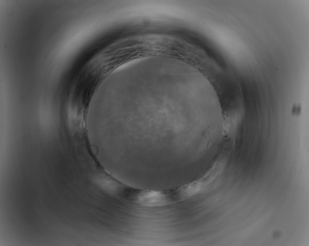 X0000102350431200808291206