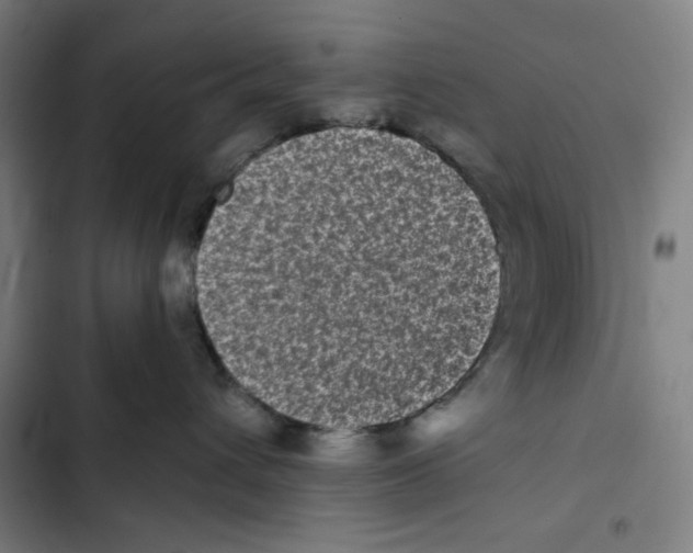 X0000102350432200808291206