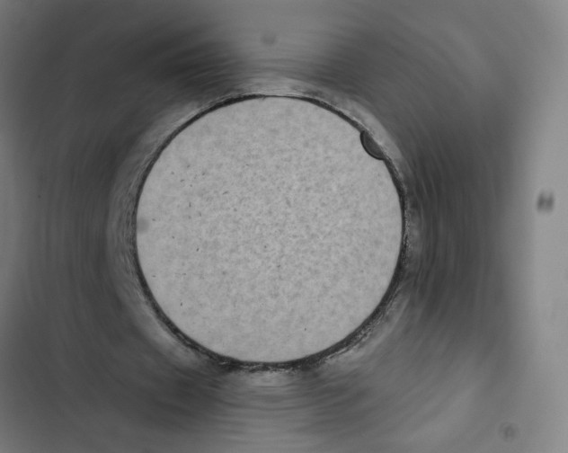 X0000102350433200808291205