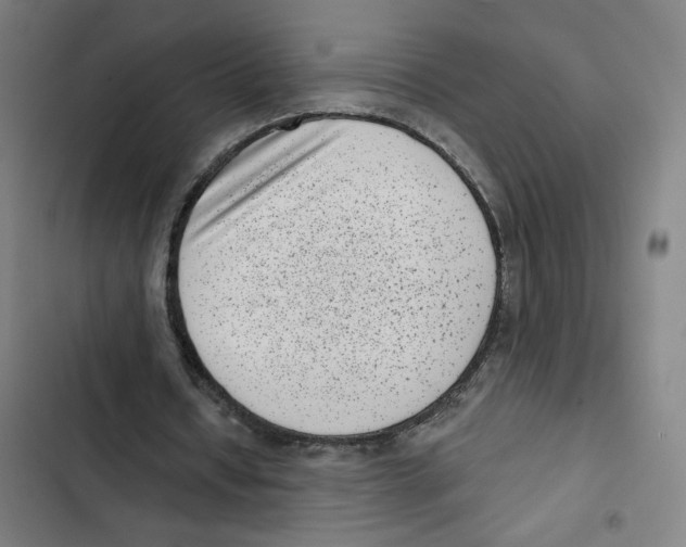 X0000102350434200808291205
