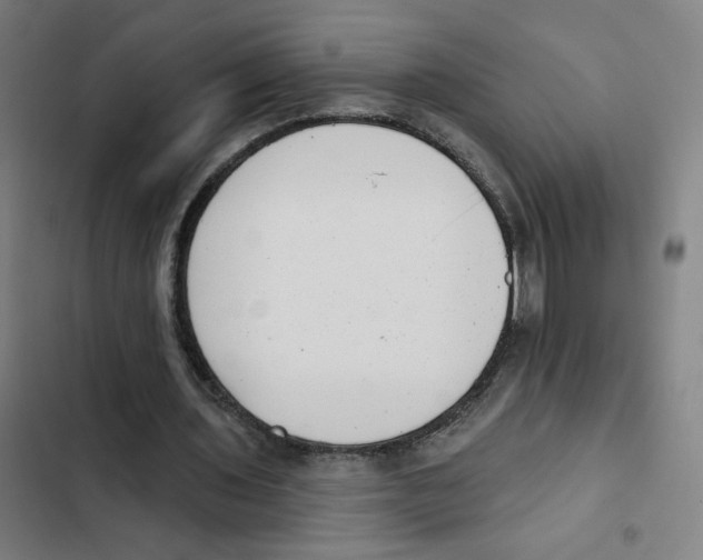 X0000102350435200808291205