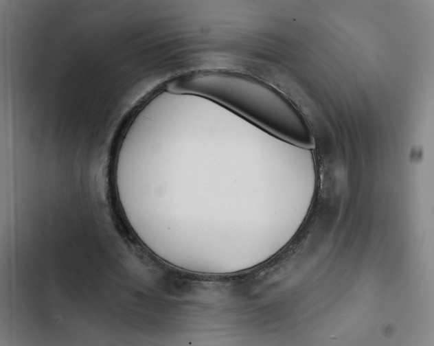 X0000102350436200808291205