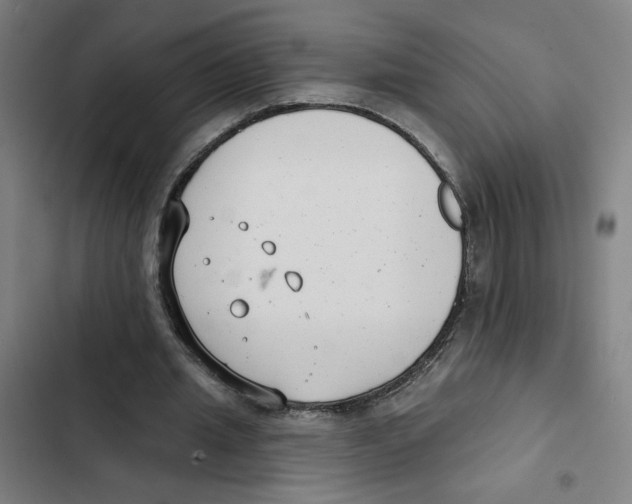 X0000102350437200808291205