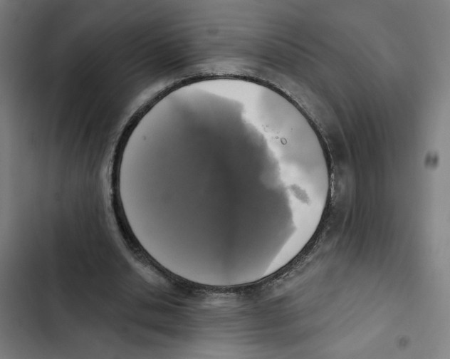 X0000102350438200808291205