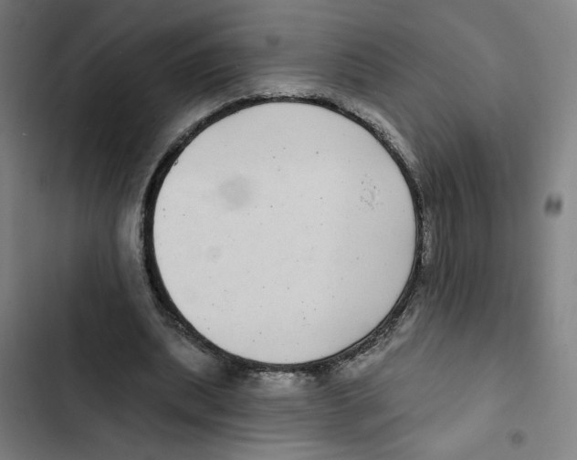 X0000102350439200808291205