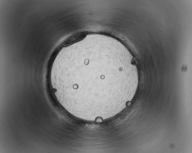 X0000102350440200808291205