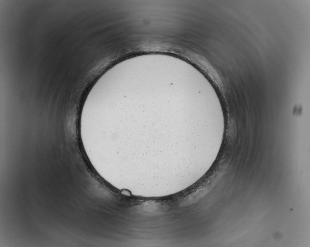 X0000102350441200808291205
