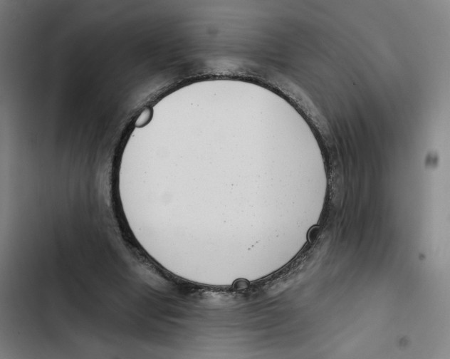 X0000102350442200808291205