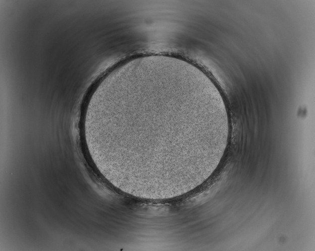 X0000102350443200808291205