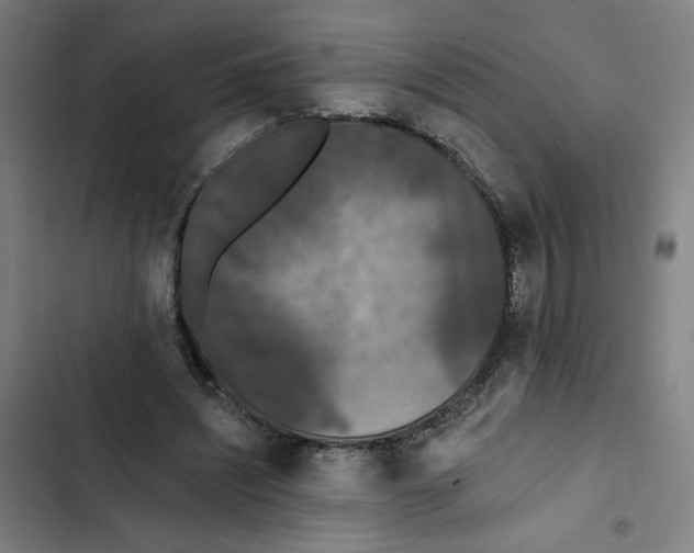 X0000102350444200808291205