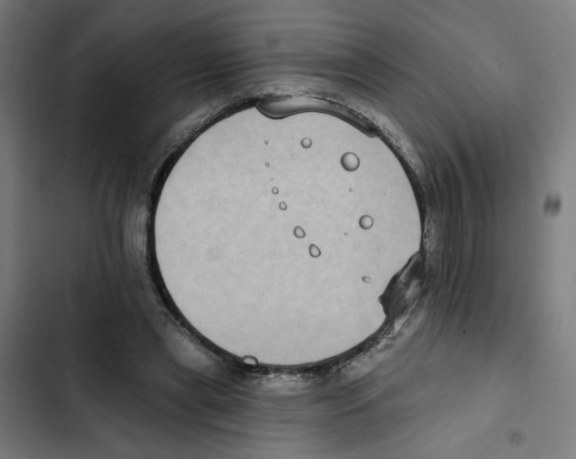 X0000102350445200808291205