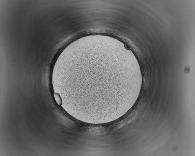 X0000102350446200808291205