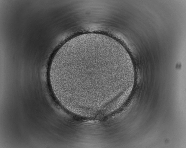 X0000102350447200808291205