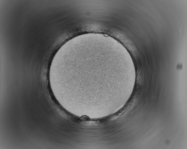 X0000102350449200808291205