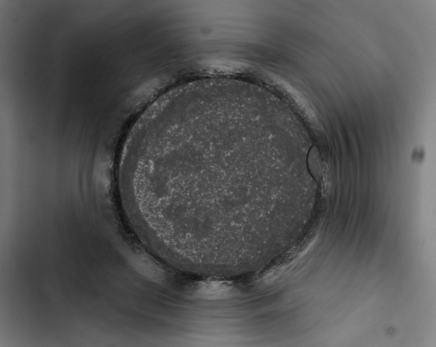 X0000102350451200808291205