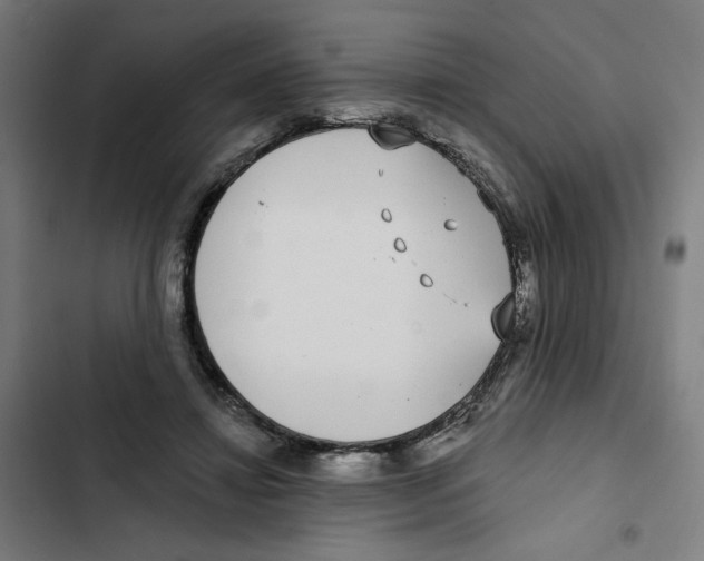 X0000102350452200808291205