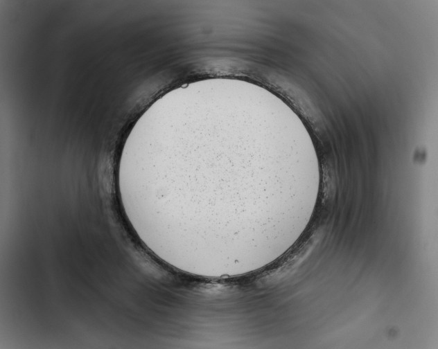 X0000102350453200808291205