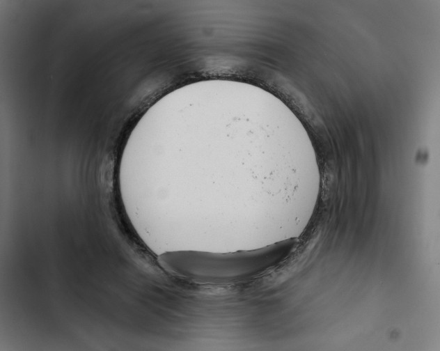 X0000102350454200808291205
