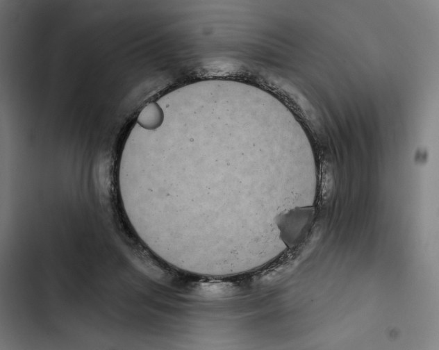 X0000102350455200808291205