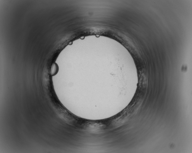 X0000102350456200808291205