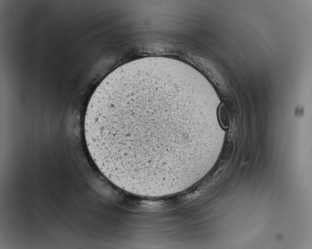 X0000102350457200808291205