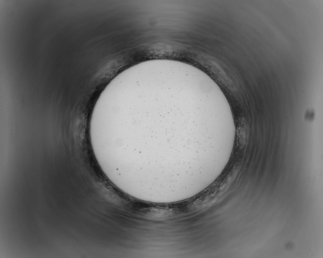 X0000102350458200808291205