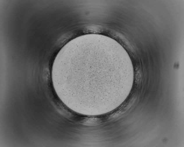 X0000102350459200808291205